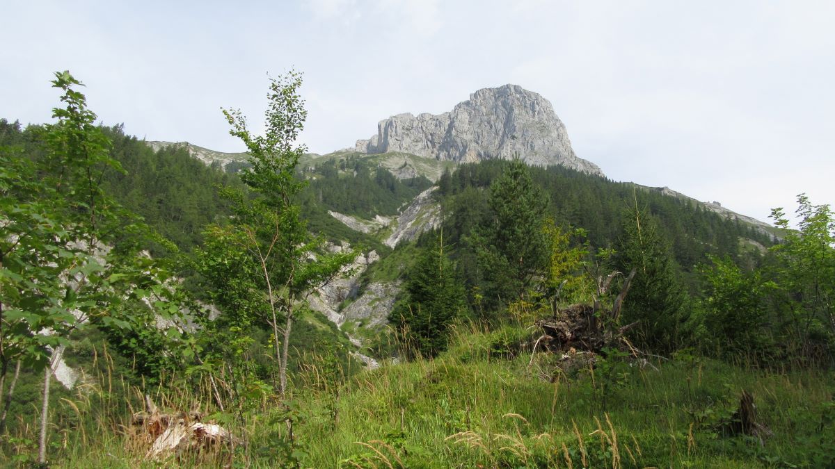 2023 08 14 Der Fölzstein begleitet uns immr wieder